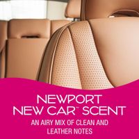 Paquete de 4 Aromatizantes Palmera Aroma Carro Nuevo