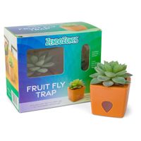 Planta Trampa para Moscas con Atrayente Diseño de Suculenta Naranja