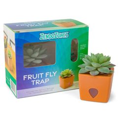 Planta Trampa para Moscas con Atrayente Diseño de Suculenta Naranja