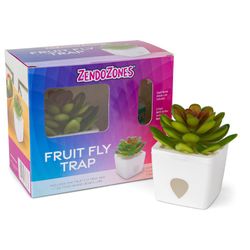 Planta Trampa para Moscas con Atrayente Diseño de Suculenta Verde