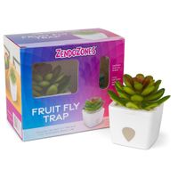 Planta Trampa para Moscas con Atrayente Diseño de Suculenta Verde
