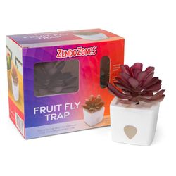 Planta Trampa para Moscas de Fruta Diseño de Suculenta