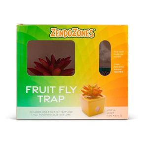 Planta Trampa para Moscas con Atrayente Diseño de Suculenta Amarilla