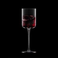 Set de 2 Copas para Vino Pisa Transparente 420 Ml