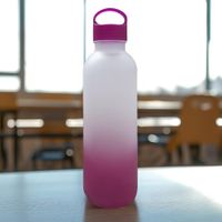 Pachón 600 ml Rosa Degrade