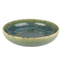 Bowl de Cerámica Acabado Esmaltado Amazonia