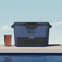 Hielera Rígida Azul  47.3 L