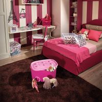 Caja Organizadora Rosa con Ruedas