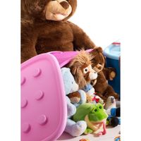 Caja Organizadora Rosa con Ruedas