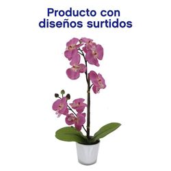 Orquídea Con Maceta - Z