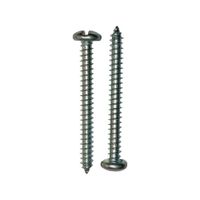 Set de 100 Tornillos para Lámina de Cabeza Redonda 8 x 1 Plg