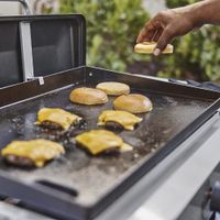Plancha de Gas Propano 3 Quemadores 36,000 BTU