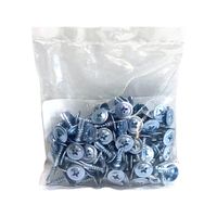 Set de 100 Tornillos Truss para Broca 8 x 1/2 Plg