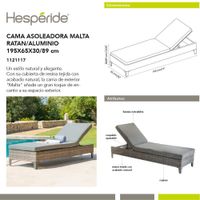 Cama Asoleadora Gris de Ratán y Aluminio