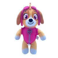 Aqua Amigos Paw Patrol Diseños Surtidos