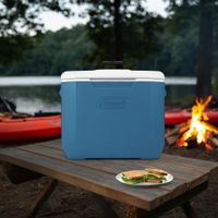 Hielera tipo Lonchera Aqua 28.39 L