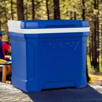 Hielera tipo Lonchera 15 Lt Azul