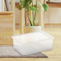 Caja Organizadora Transparente de 11 Lts