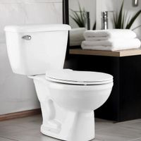 Sanitario Ecoline de Dos Piezas con Palanca Lateral Blanco