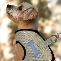 Arnes-de-Nylon-para-Perro-Talla-L