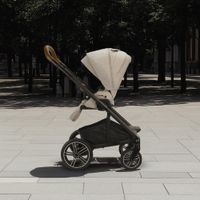 Carruaje de Paseo MIXX Next Color Hazel Wood