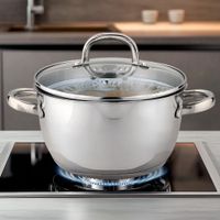 Olla de Acero Inoxidable con Tapa 20 Cm