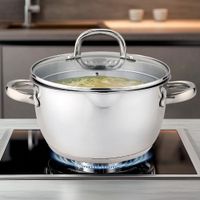 Olla de Acero Inoxidable con Tapa 24 Cm