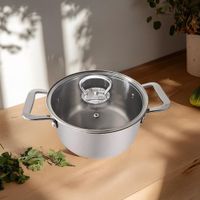 Olla de Acero Inoxidable con Tapa 24 Cm