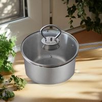 Olla De Acero Inoxidable 16 Cm con Tapa