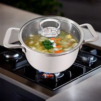 Olla de Acero Inoxidable con Tapa de Vidrio 20 Cm