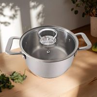 Olla de Acero Inoxidable con Tapa 26 Cm
