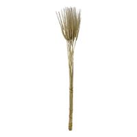 Espiga de Trigo Seco Decorativo