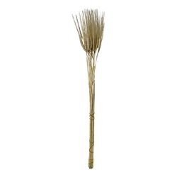 Espiga de Trigo Seco Decorativo
