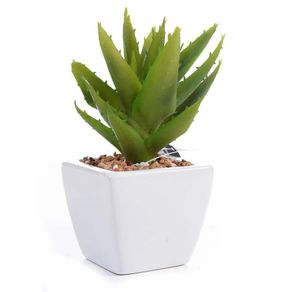 -Planta-Cactus-15Cm