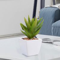 -Planta-Cactus-15Cm
