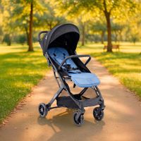Carruaje De Paseo Argus - Premium Baby Varios Colores