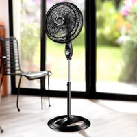 Ventilador de Pedestal Negro