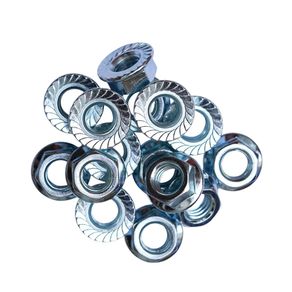 Tuerca Hexagonal con Roldana de 1/4 Plg