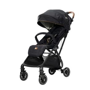 Carruaje Joie Signature Compact