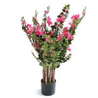 Planta-Decorativa-con-Maceta-Rosa