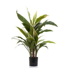 Planta Artificial Cordyline Verde