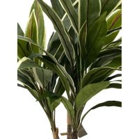 Planta Artificial Cordyline Verde