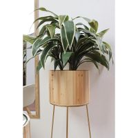 Planta Artificial Cordyline Verde