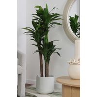 Planta Artificial Drácena Verde