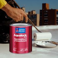Aqualock Imper 8000 1 Gal Blanco