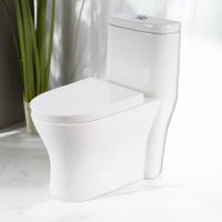 Sanitario Asiento Elongado Blanco Brillante
