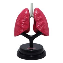 Set-Profesional-de-Pulmones-Eastcolight
