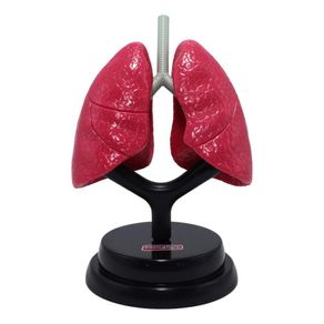 Set-Profesional-de-Pulmones-Eastcolight