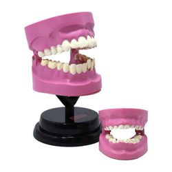 Set-Profesional-de-Dentista-Eastcolight