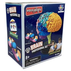 Set-Profesional-de-Cerebro